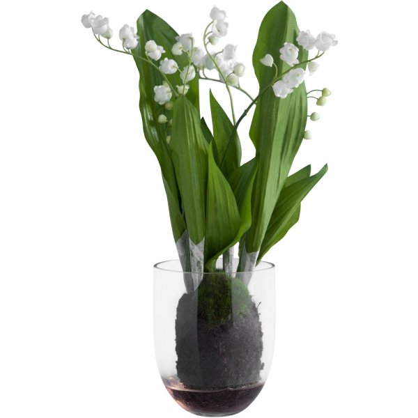    Lily of the valley   -- | Loft Concept 