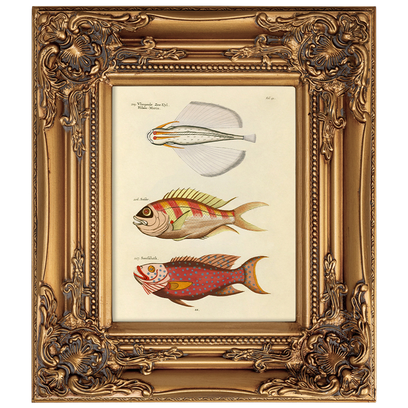       Fishes 7    -- | Loft Concept 