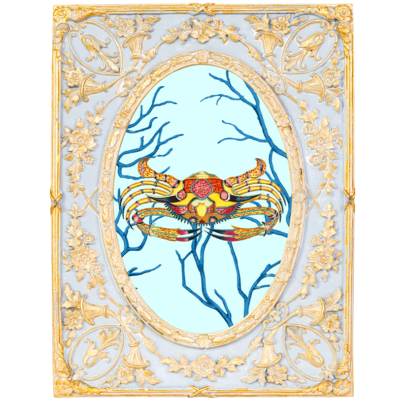       Seashell Still Life 2     -- | Loft Concept 