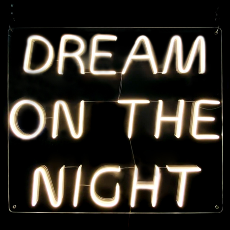    Dream On The Night Neon Wall Lamp    -- | Loft Concept 