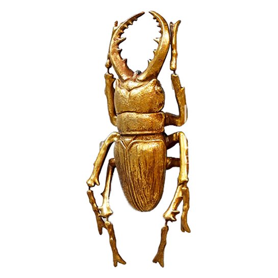    Stag Beetle   -- | Loft Concept 