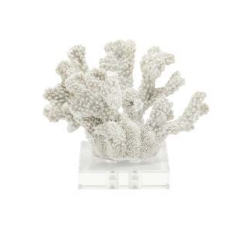  White Coral 12    -- | Loft Concept 