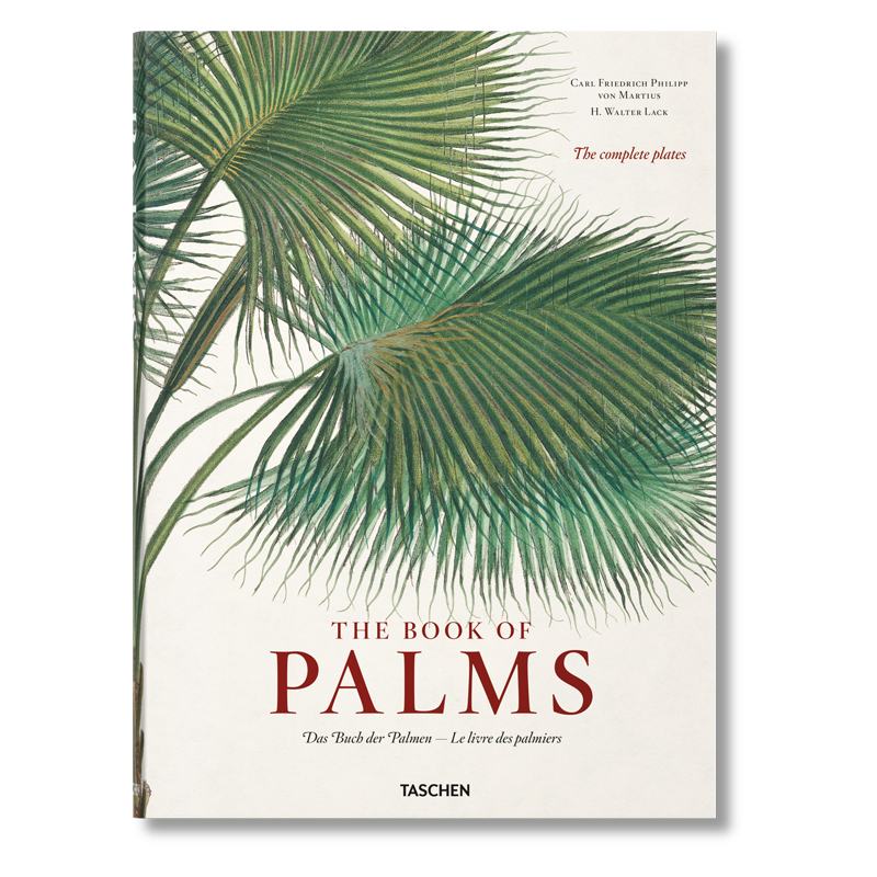  The Book of Palms   -- | Loft Concept 