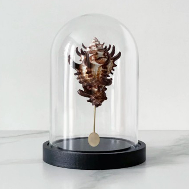  Vasum Tubiferum Glass Cloche   -- | Loft Concept 