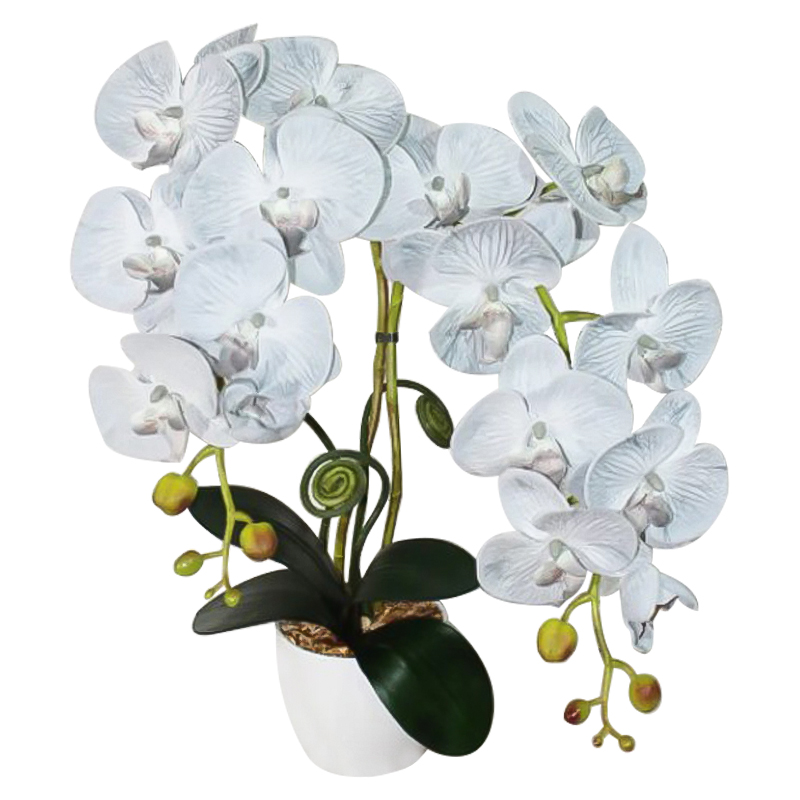   Orchid gray   -- | Loft Concept 