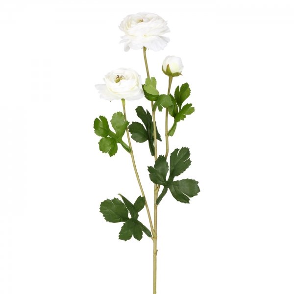    White Peony Rose    -- | Loft Concept 