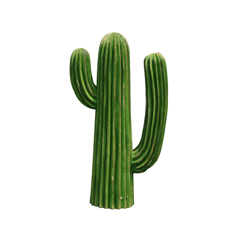  Cactus 50   -- | Loft Concept 