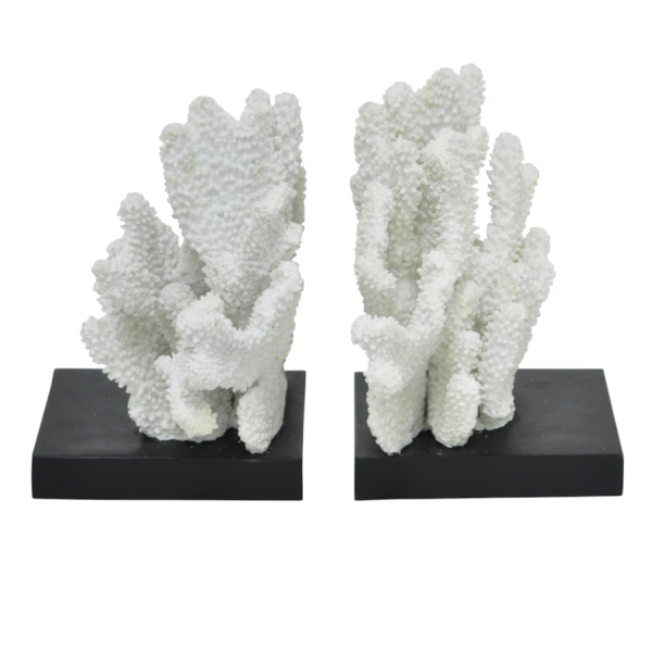    White Coral   -- | Loft Concept 