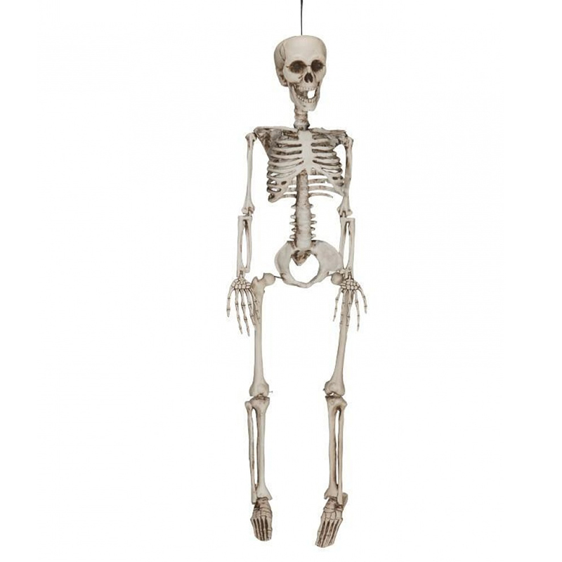  HALLOWEEN Skeleton   -- | Loft Concept 
