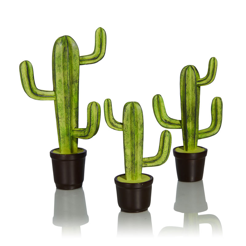   Potted Cacti    -- | Loft Concept 