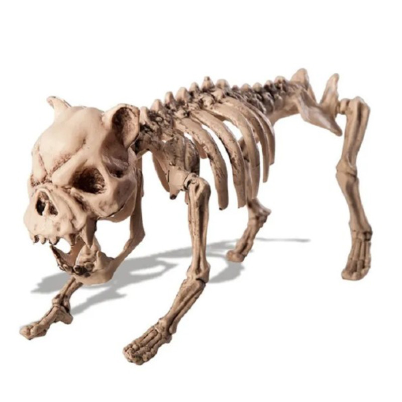  Dog Skeleton -  -- | Loft Concept 