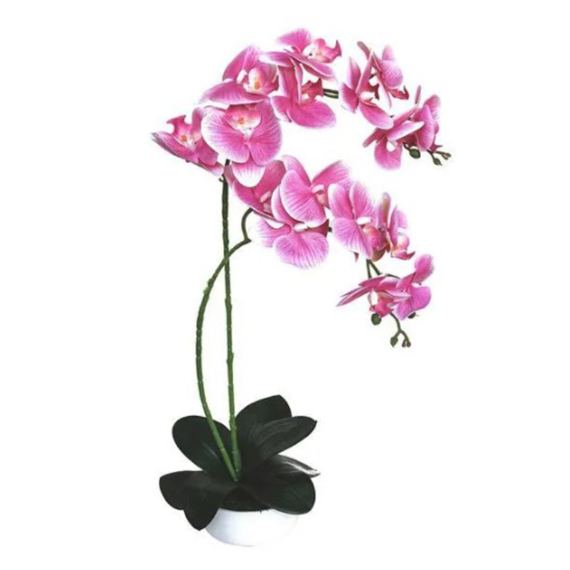    Orchid pink   -- | Loft Concept 