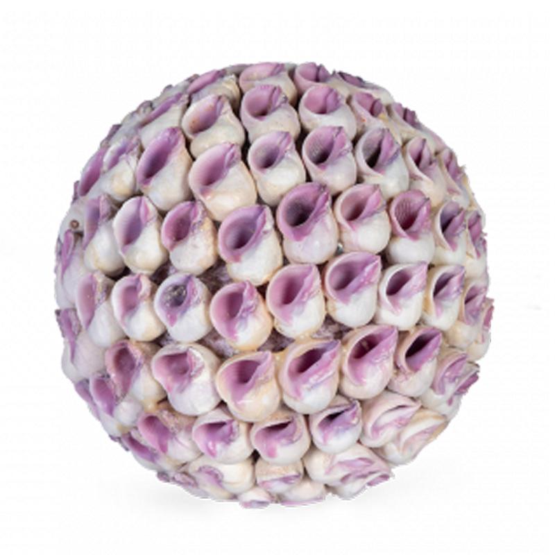  Coral Decor ball   -- | Loft Concept 