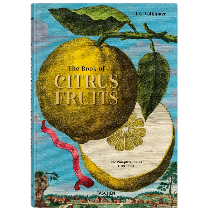 Volkamer Citrus Fruits   -- | Loft Concept 