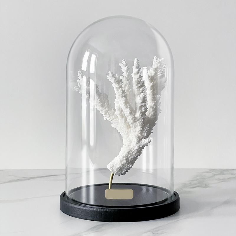 Статуэтка Natural Coral Branch Glass Cloche  в Ростове-на-Дону | Loft Concept 