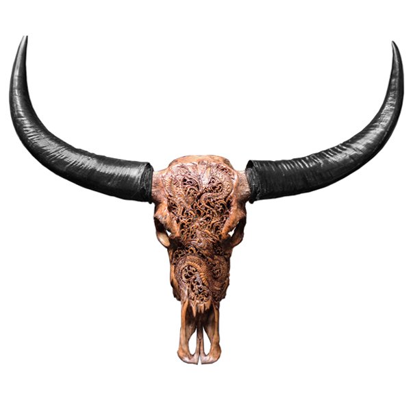   Buffalo Skull Dragon      -- | Loft Concept 