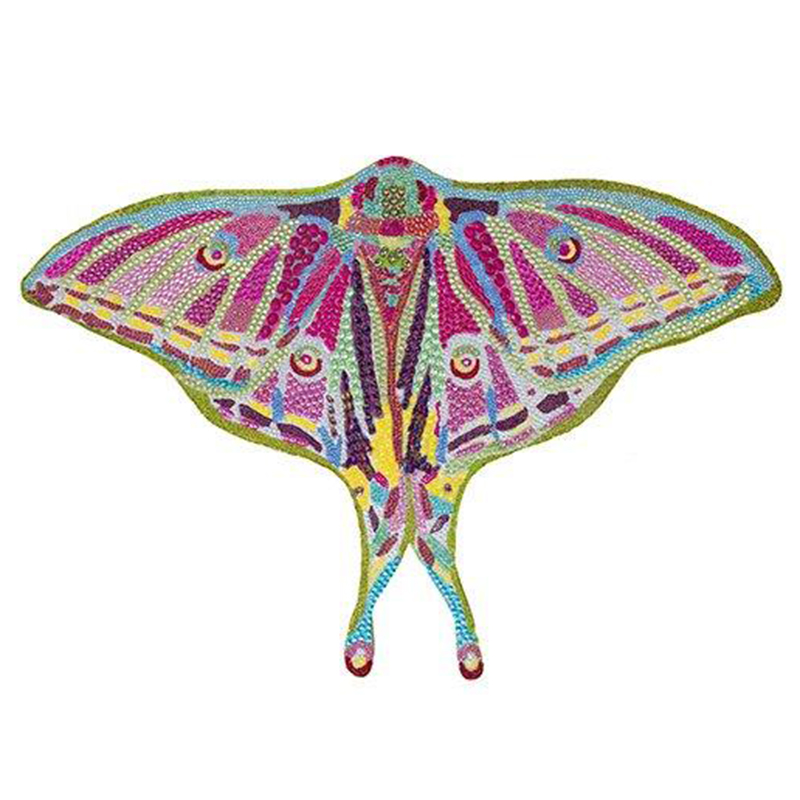  Spanish Moon Moth Butterfly Cut Out   -- | Loft Concept 