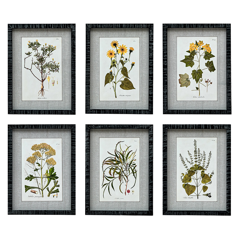   Herbarium Yellow Flowers   -- | Loft Concept 