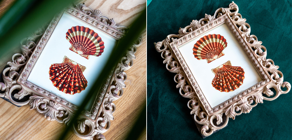 Постер Red Scallop Poster - Loft-Concept в Ростове-на-Дону