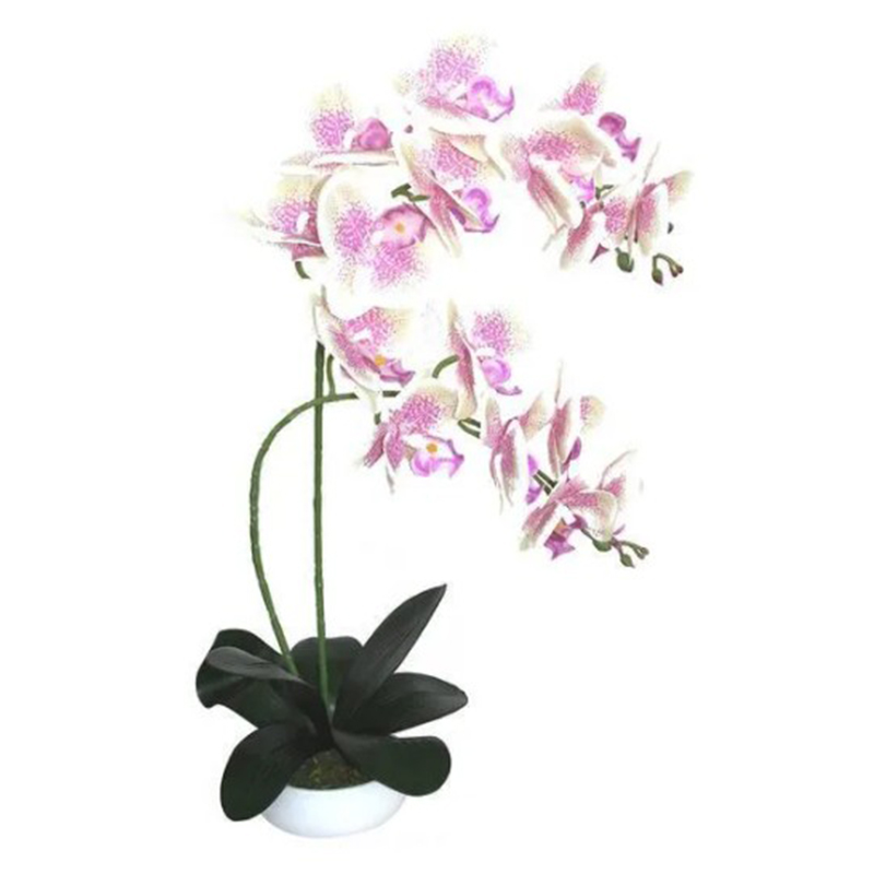    Orchid light pink   -- | Loft Concept 