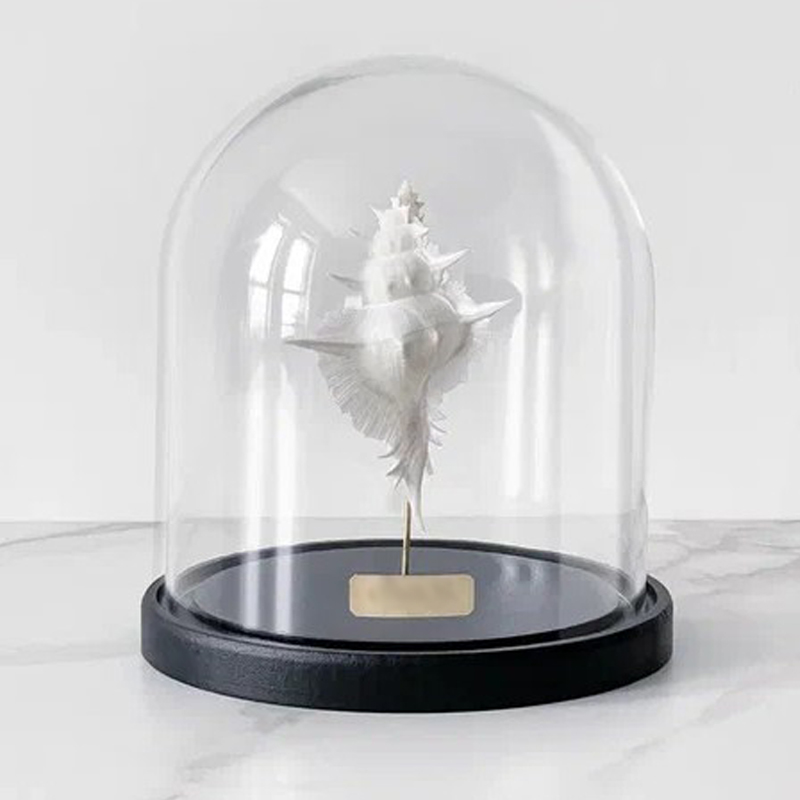  Murex Alabaster Glass Cloche   -- | Loft Concept 