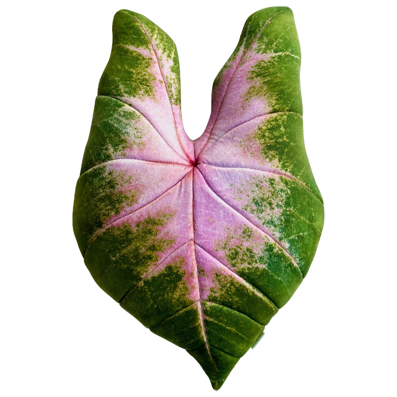   Botanical Cushion Caladium Bicolor    -- | Loft Concept 