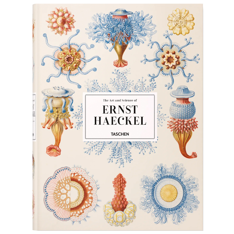 The Art and Science of Ernst Haeckel XXL   -- | Loft Concept 