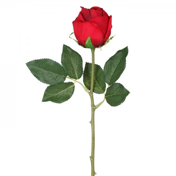    Mini Red Rose    -- | Loft Concept 