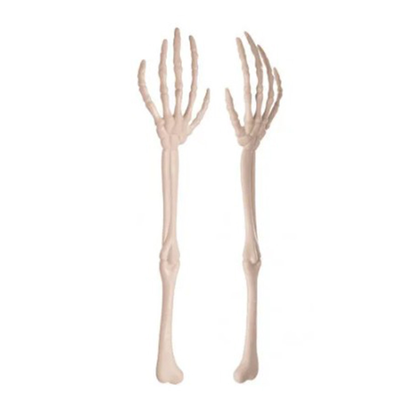  Skeleton Hands   -- | Loft Concept 