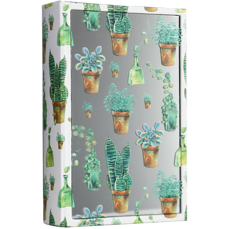 - Succulents Mirror Book Box     -- | Loft Concept 