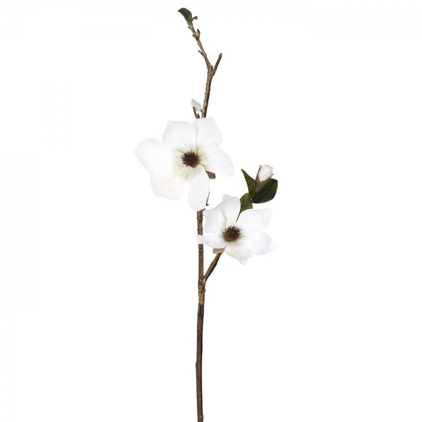    White Magnolia    -- | Loft Concept 