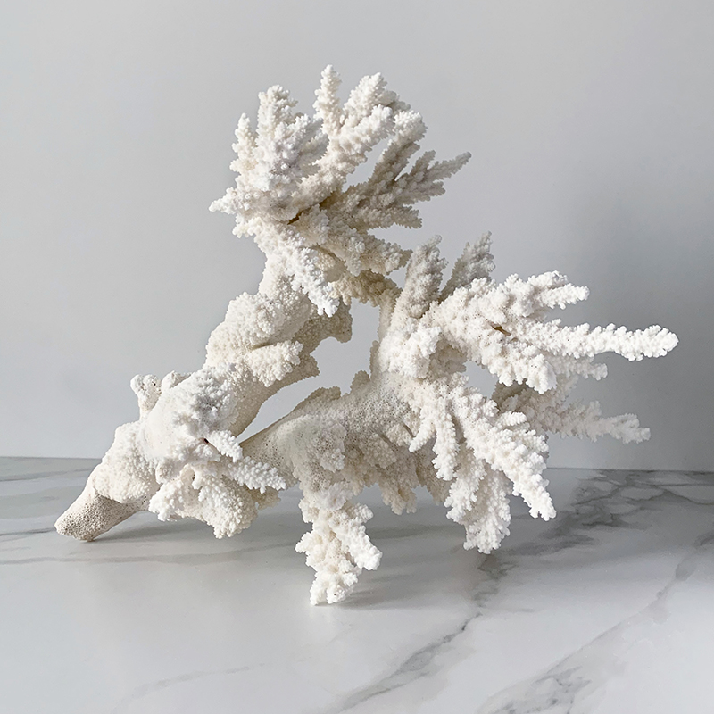  Branch L Coral   -- | Loft Concept 