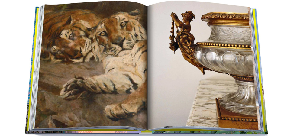 Книга RAJASTHAN STYLE book - фото №4