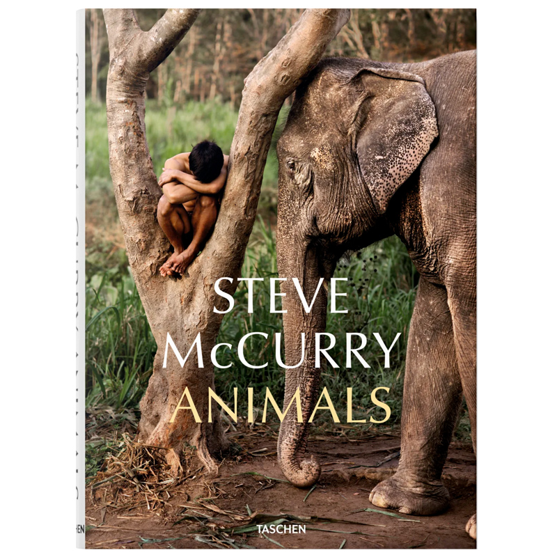 Steve McCurry. Animals   -- | Loft Concept 
