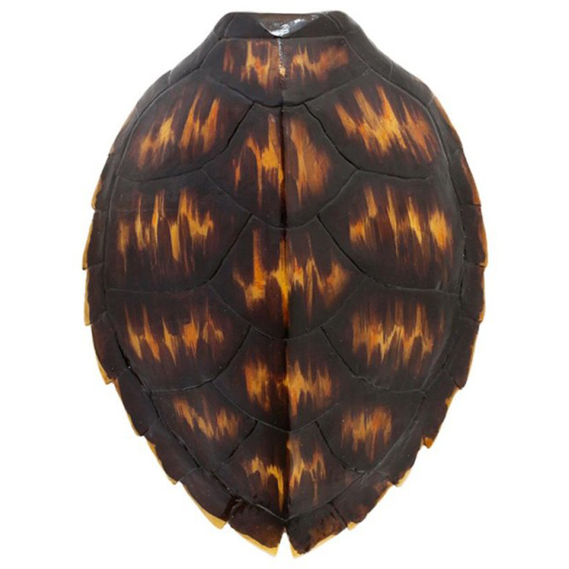  Turtle Shell Brown Orange    -- | Loft Concept 