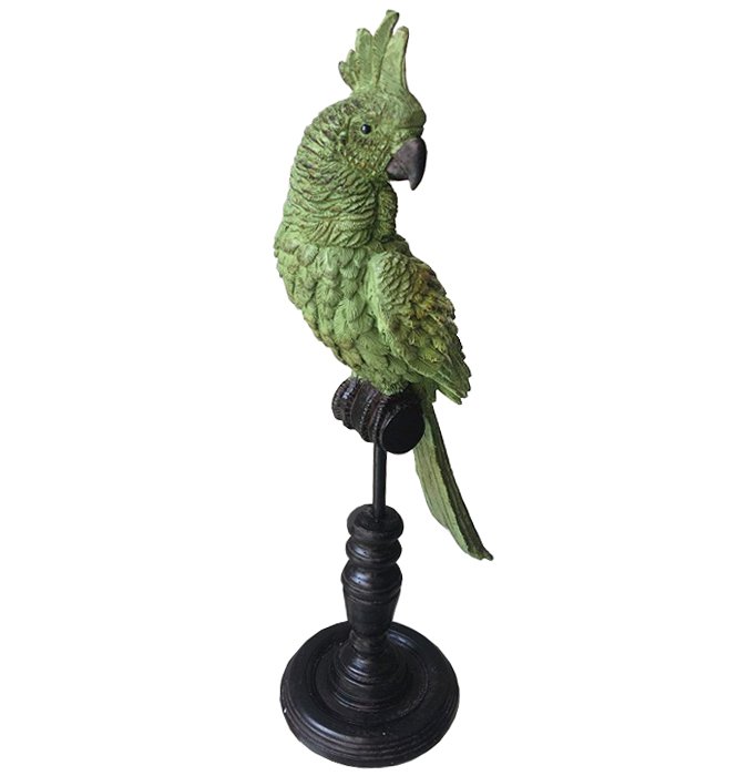  Green Parrots   -- | Loft Concept 