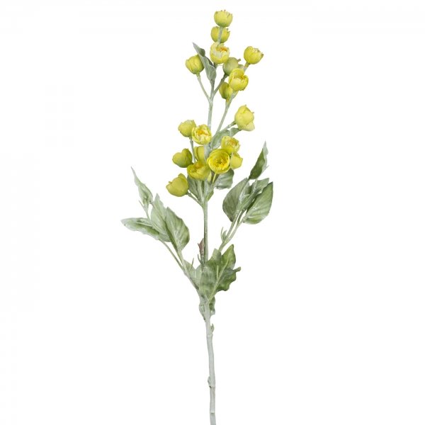    Yellow Inflorescence    -- | Loft Concept 