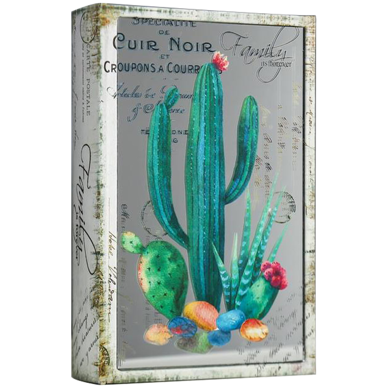 - Cactus Mirror Book Box    -- | Loft Concept 