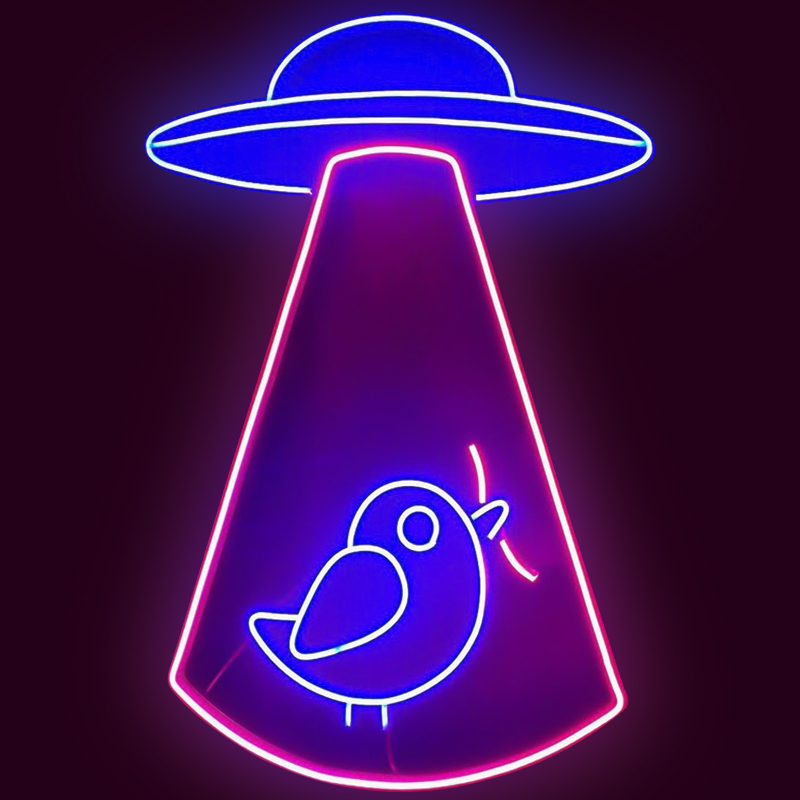    UFO and Bird Neon Wall Lamp    -- | Loft Concept 