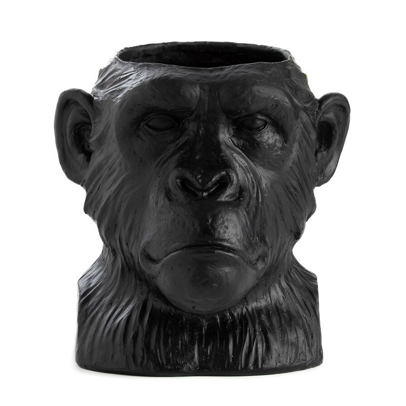  Black Monkey    -- | Loft Concept 
