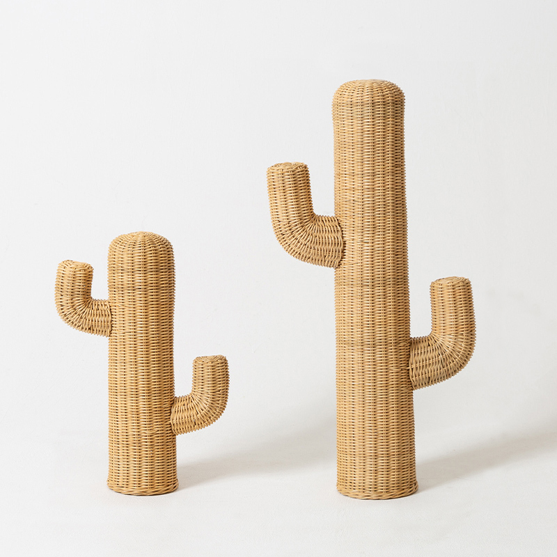 Braided Cactus   -- | Loft Concept 