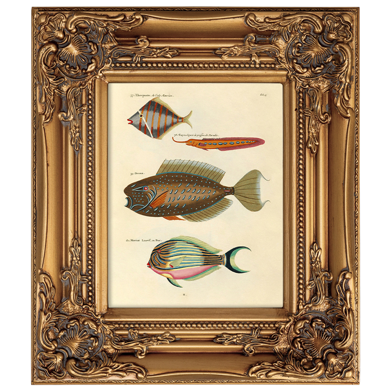       Fishes    -- | Loft Concept 