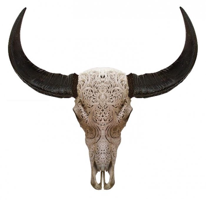     Buffalo Skull Tribal Carving   -- | Loft Concept 