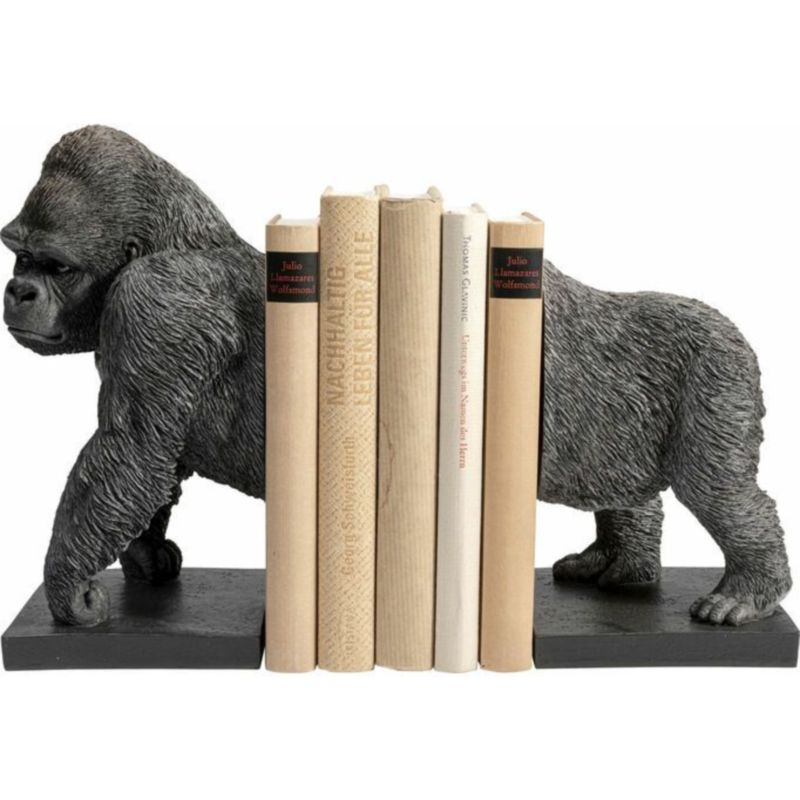    King Kong Books    -- | Loft Concept 