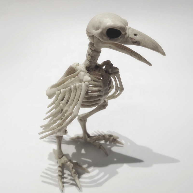  Crow Skeleton   -- | Loft Concept 