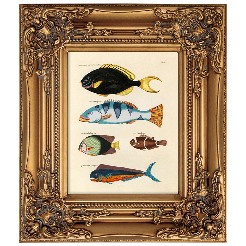       Fishes 3    -- | Loft Concept 