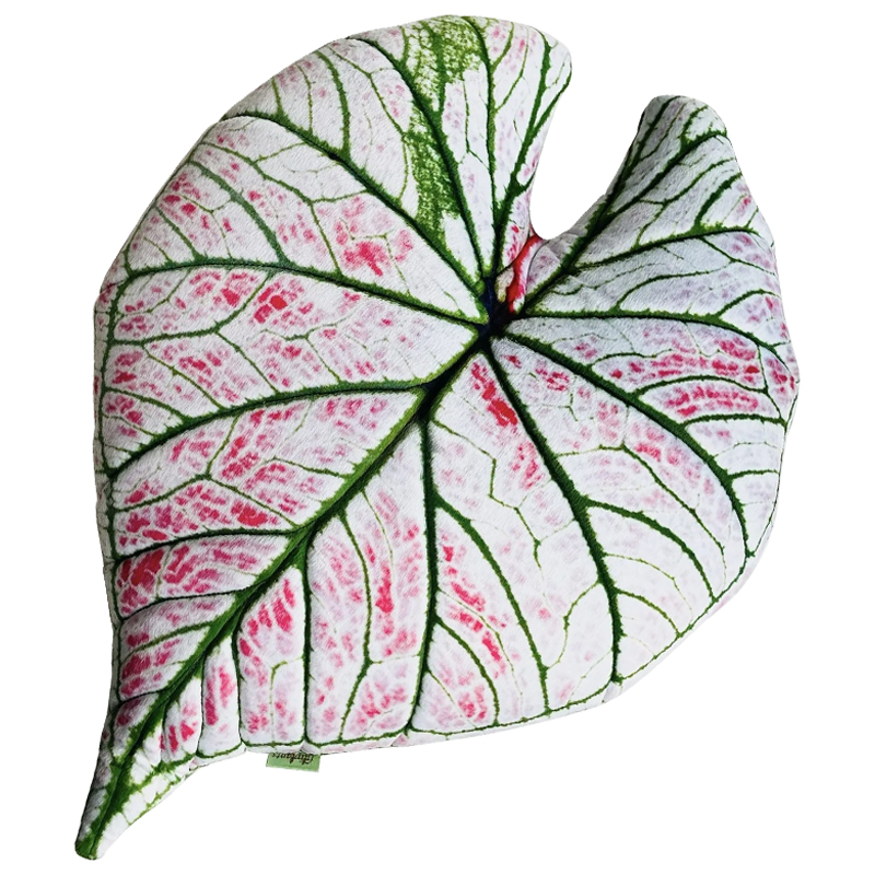   Botanical Cushion Caladium Rosebud     -- | Loft Concept 