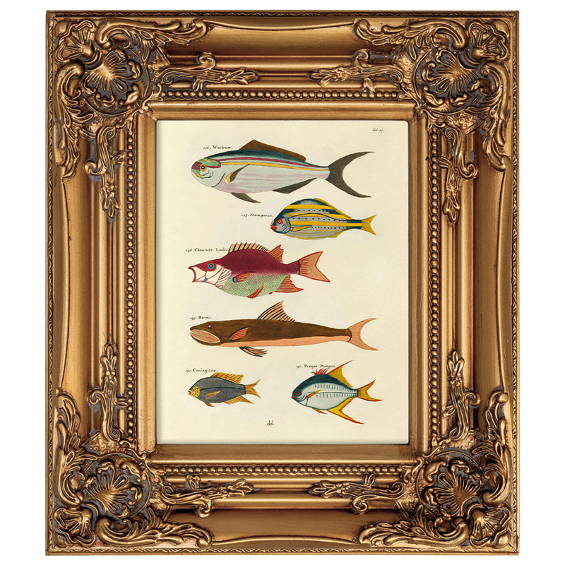       Fishes 4    -- | Loft Concept 