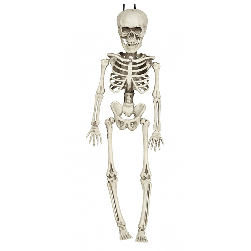  HALLOWEEN Skeleton small   -- | Loft Concept 