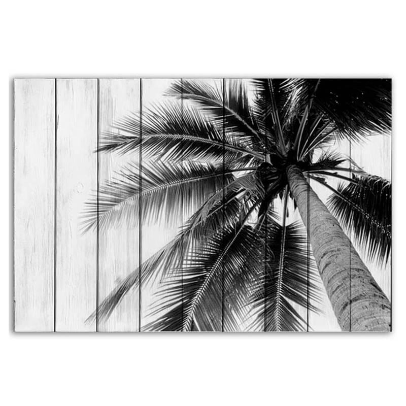  Palm   -- | Loft Concept 